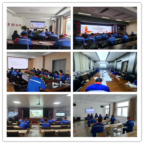 1733987893526864.png 圖片1_副本_副本.png