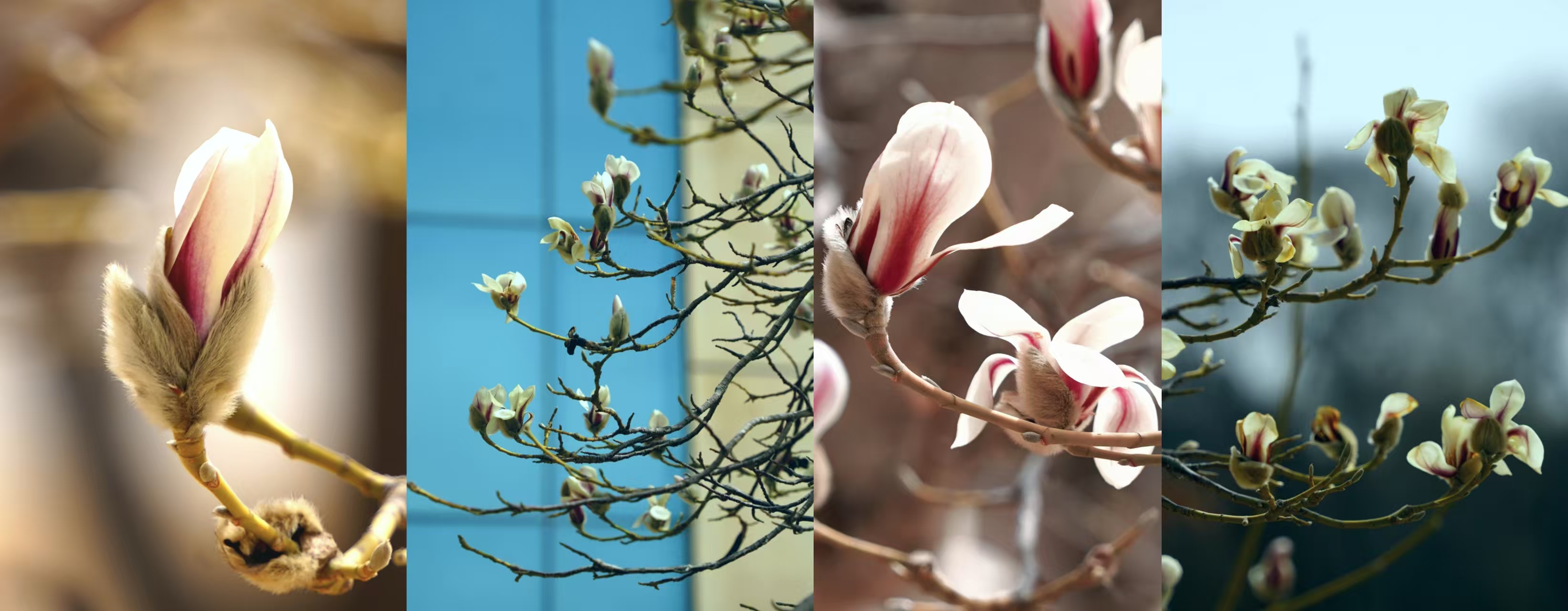 1743582935573975.png 1.png