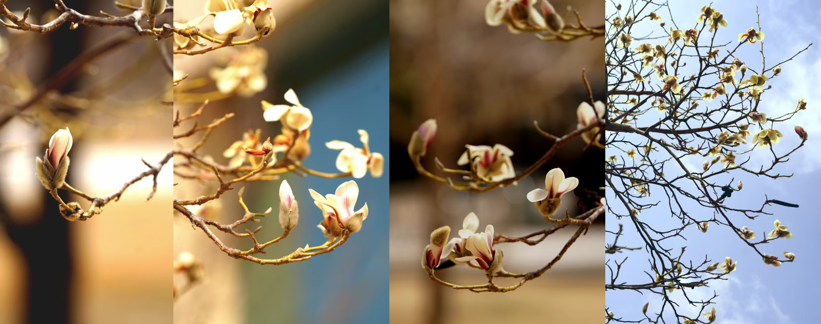 1743582959834005.png 2.png