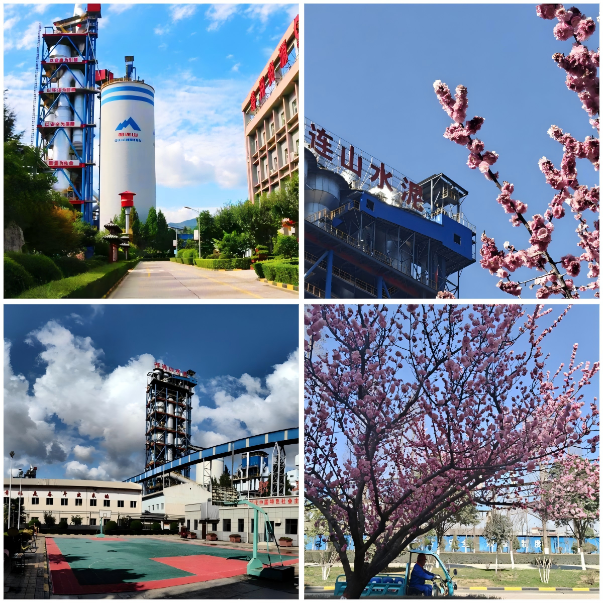 1751285584997032.png 2成縣(1).png