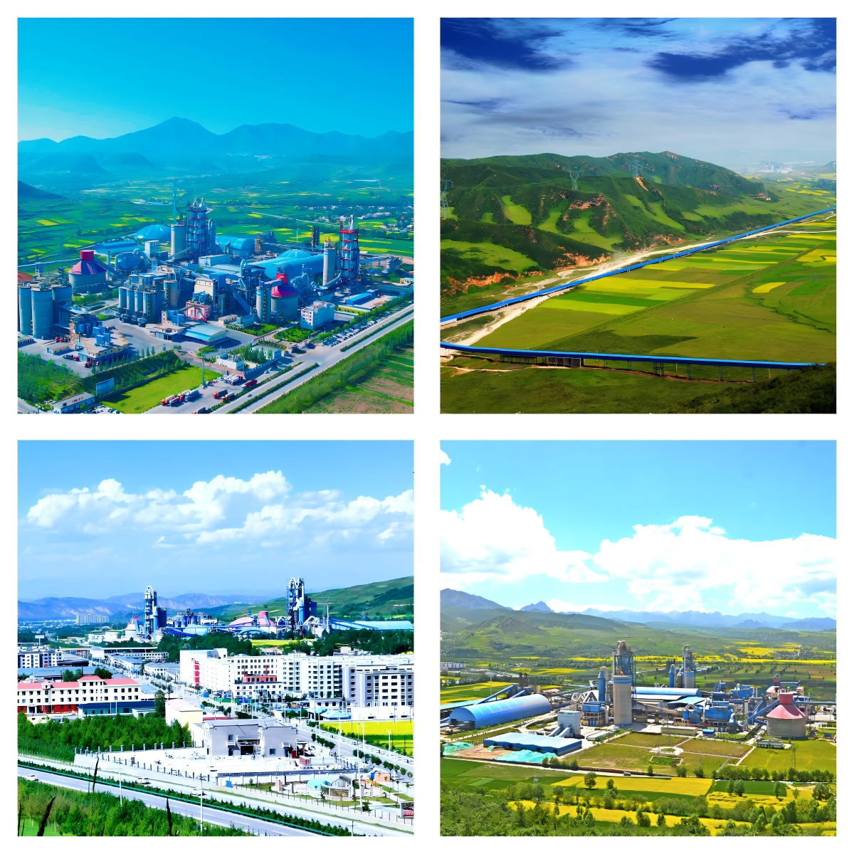 1751285599267307.png 3青海.png