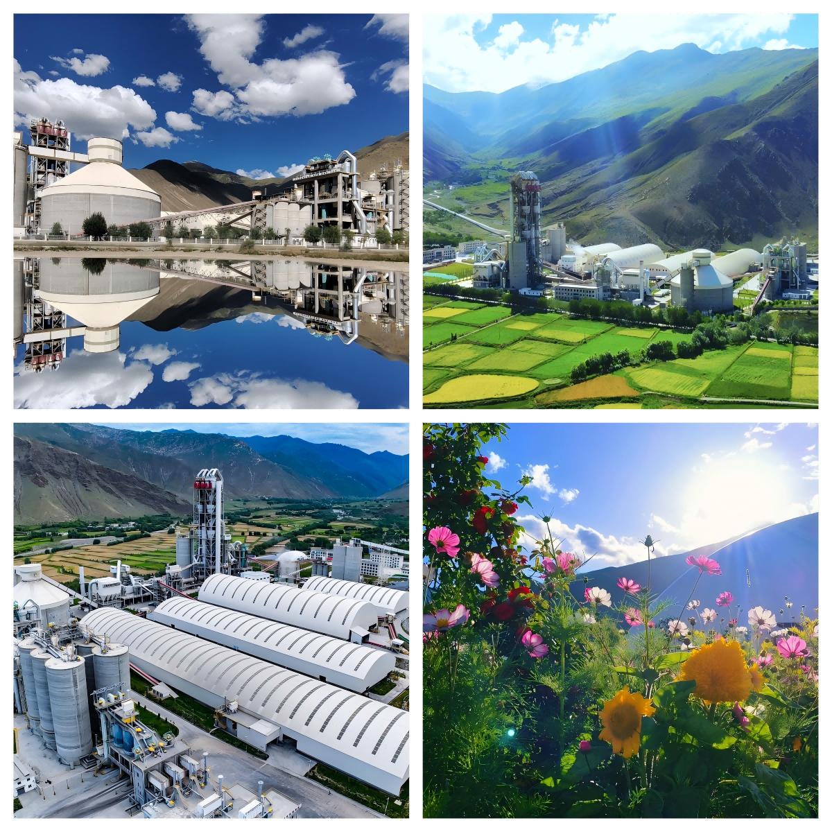 1751285807664478.png 6西藏(1).png