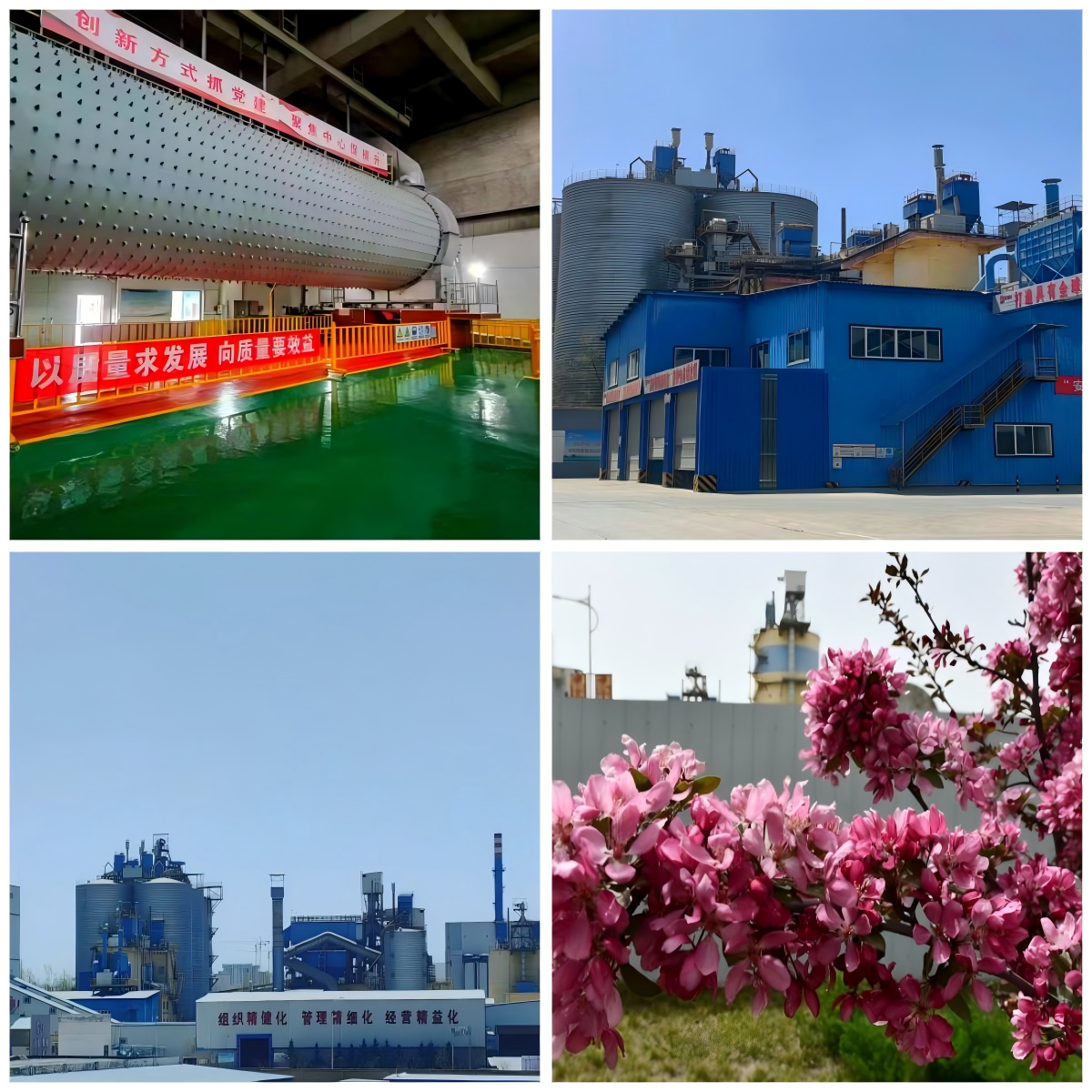 1751285868285516.png 14定西商砼.png