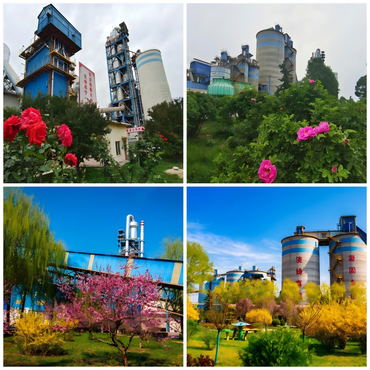 1751286289112654.png 15平涼公司.png